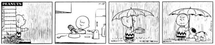Peanuts Snoopy Charlie Brown
