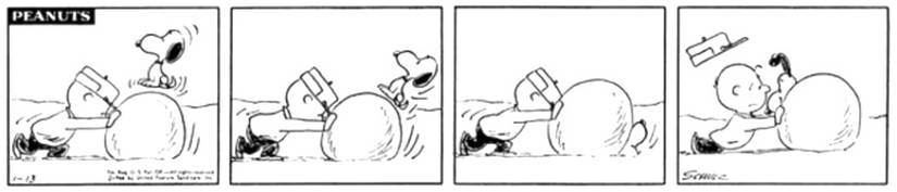 Peanuts Snoopy Charlie Brown