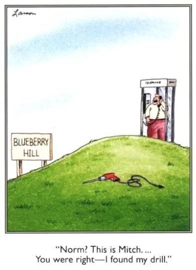The Far Side blueberry hill