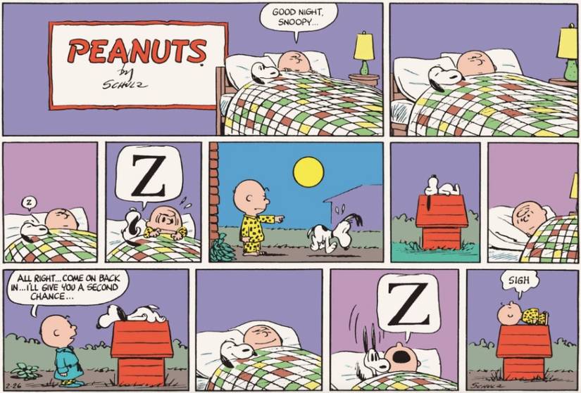 Peanuts Snoopy Charlie Brown