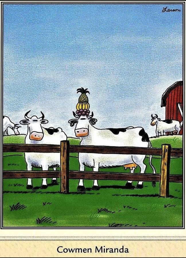 The Far Side Cowmen Miranda