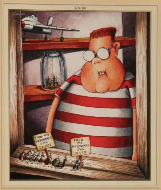The Far Side Nerdy Kid