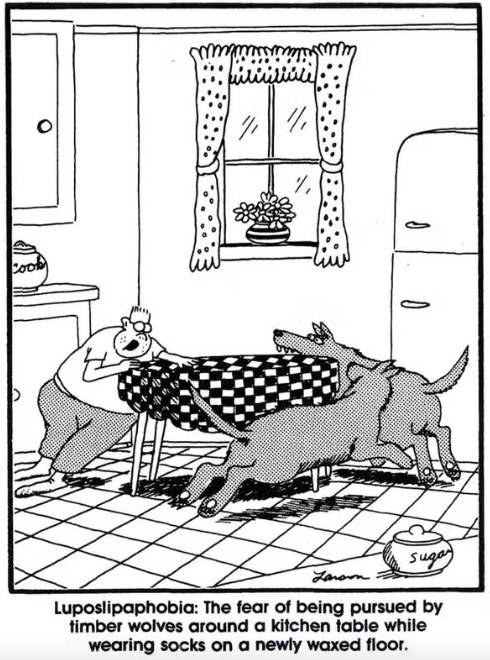 The Far Side Nerdy Kid