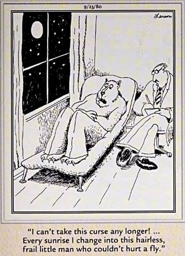 Post image 7