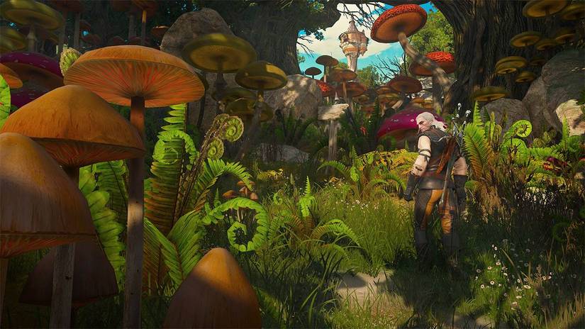 Geralt in a land full of oversized mushrooms in The Witcher 3.