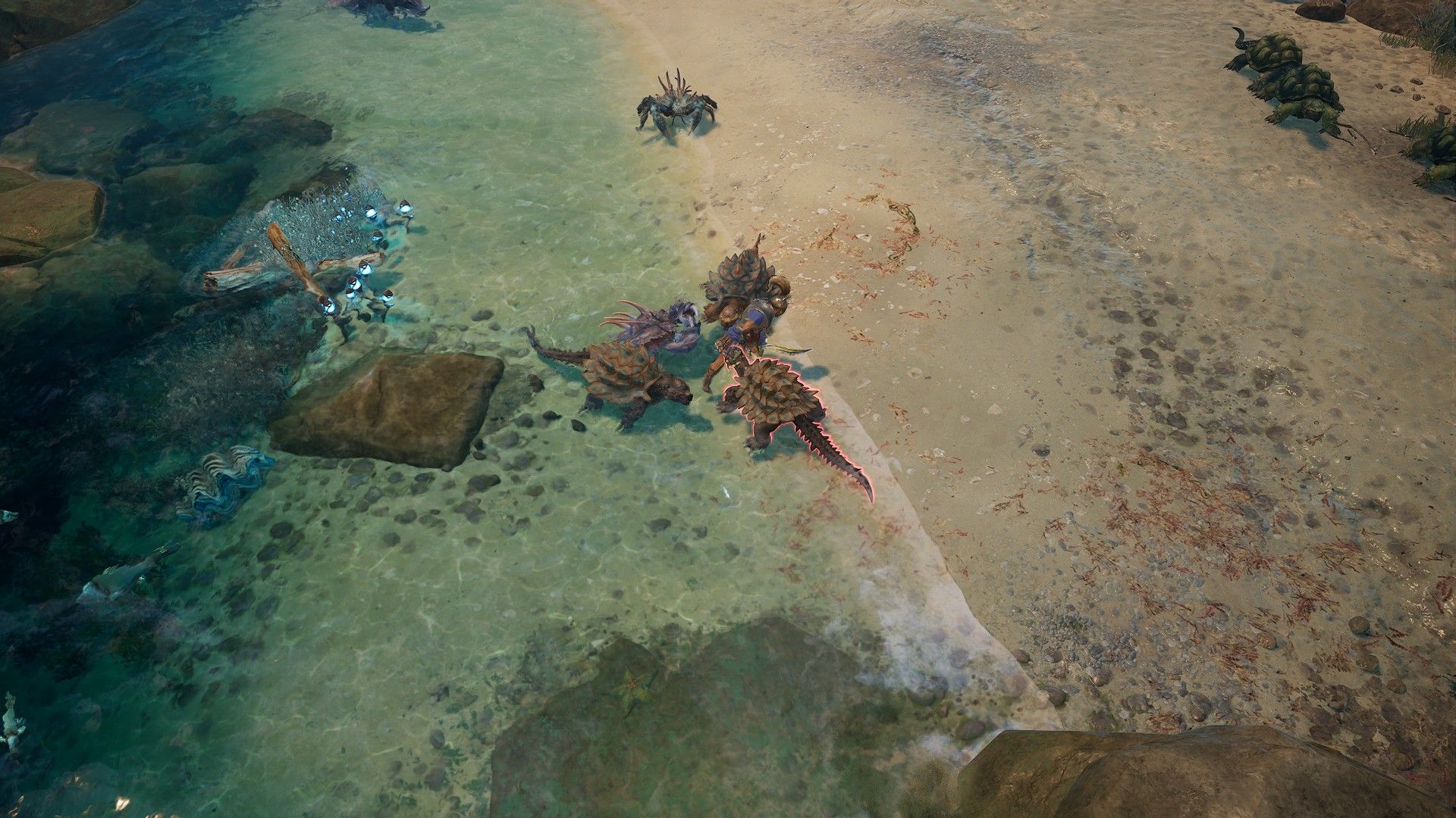 Titan Quest 2 fighting turtles