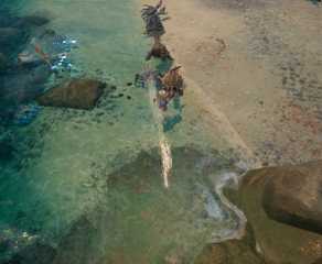Titan Quest 2 Is Everything The ARPG Genre Needs & More 127 Titan Quest 2 Icthians and Crabs