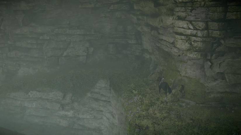Shadow of the Colossus guide: How to beat the 4th colossus