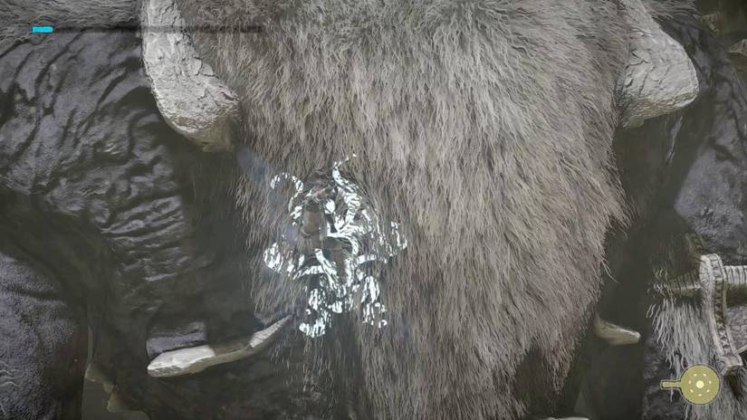 Shadow of the Colossus guide: The 6th colossus