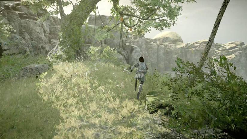 Shadow of the Colossus guide: The 6th colossus