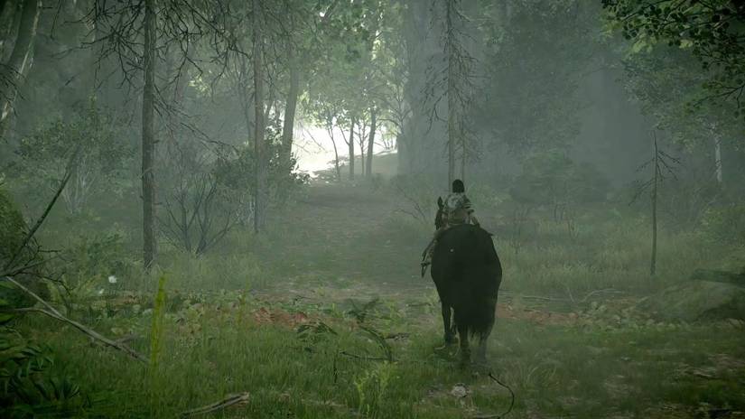 Shadow of the Colossus guide: The 12th colossus