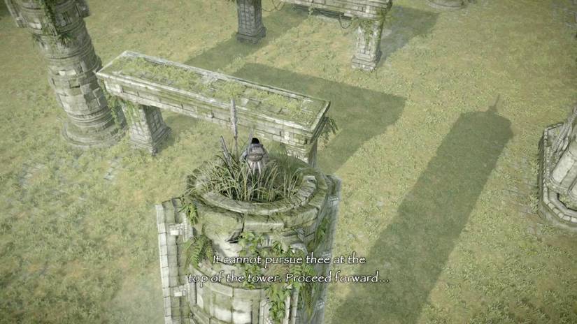 Shadow of the Colossus guide: The 14th colossus