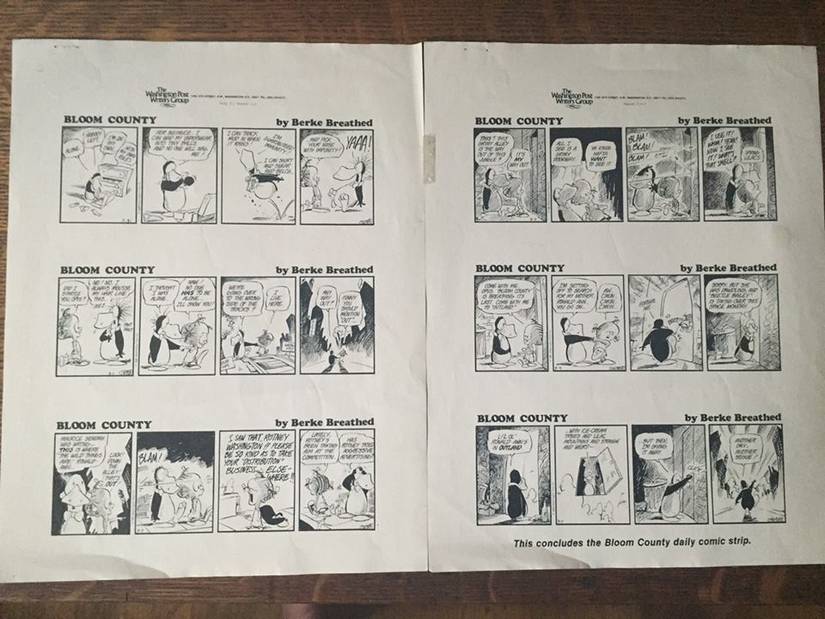 Calvin and Hobbes, and Bloom County, titans of newspaper comics pages ...