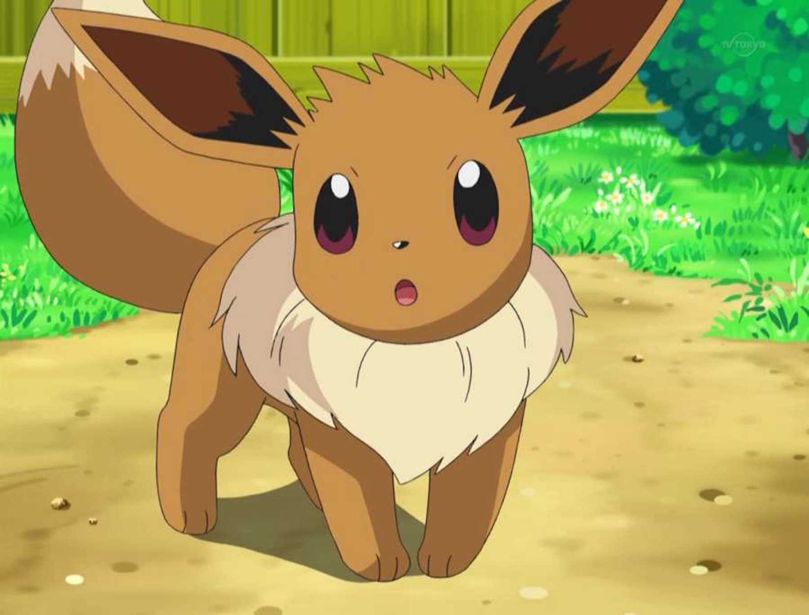 surprised eevee