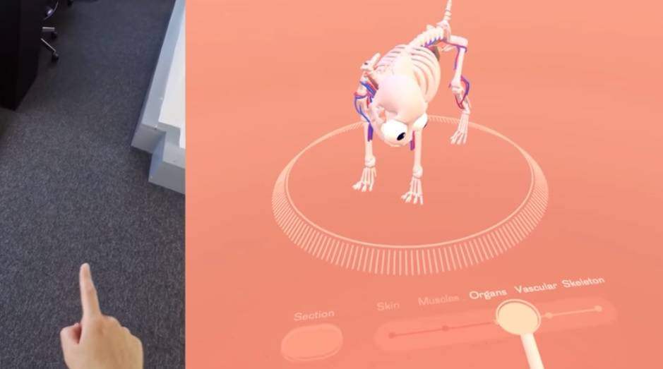 Creepy, fascinating demo gets inside a cat