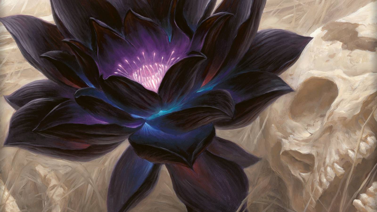 One of Magic: The Gathering's rarest cards was bought for $87,000 One of Magic: The Gathering's rarest cards was bought for $87,000