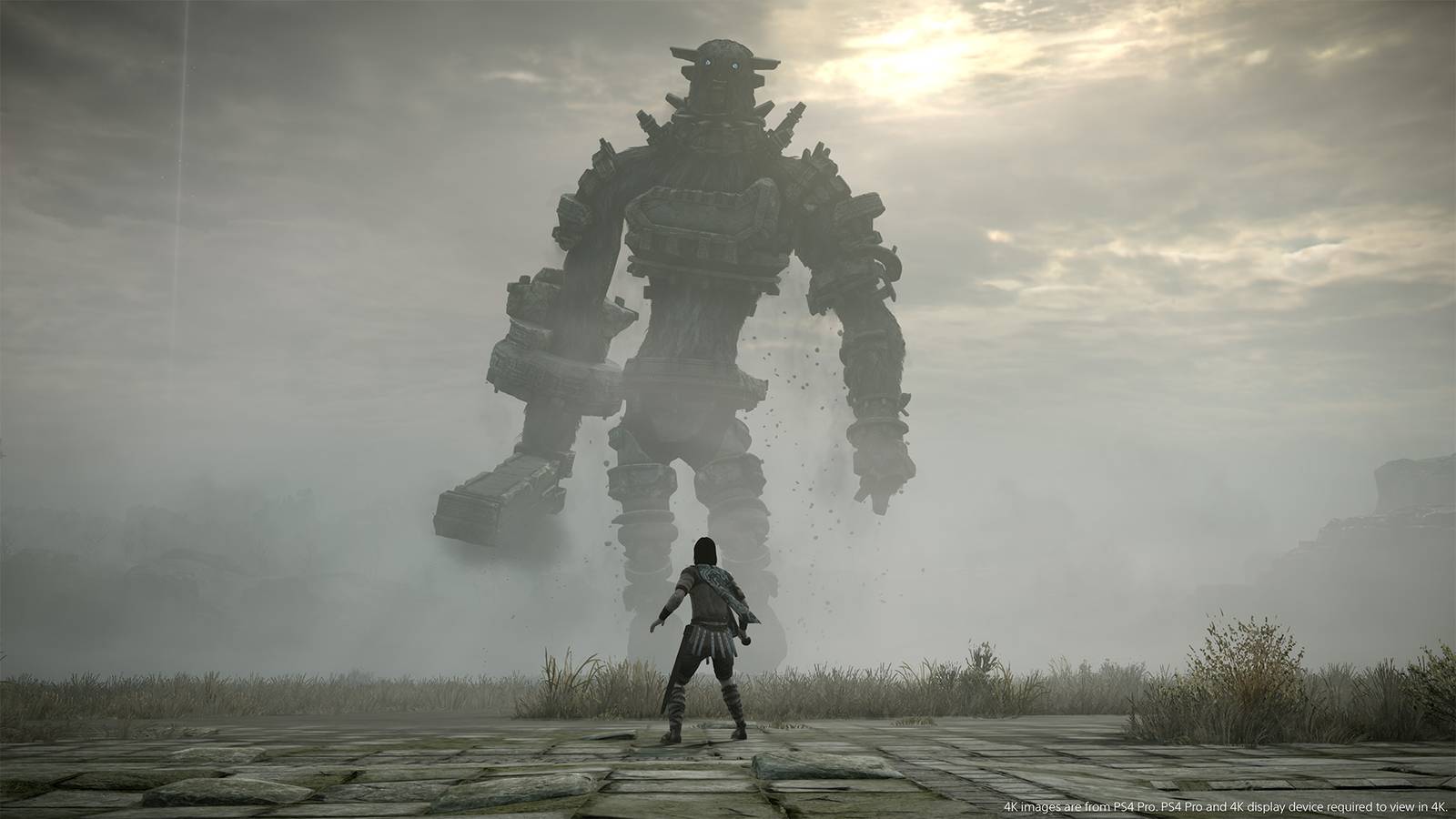 www.polygon.com