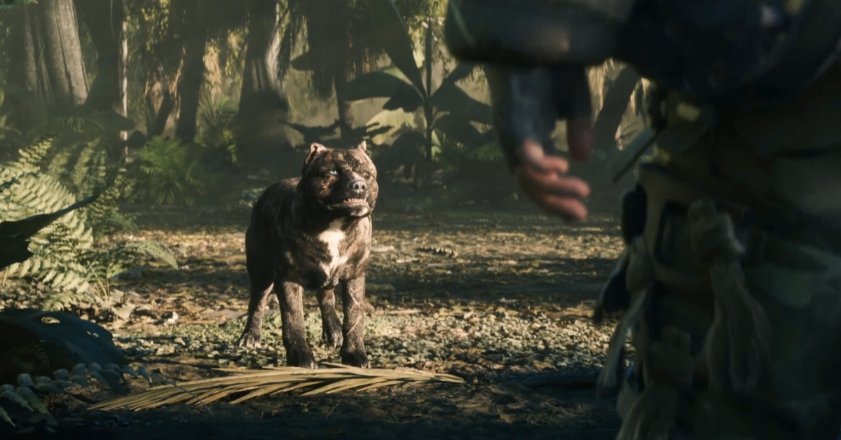 Which Call Of Duty Has Dogs