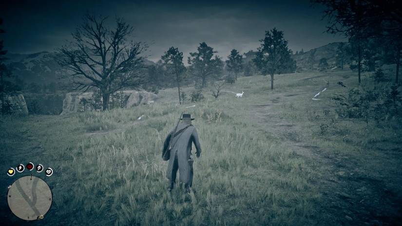 Red Dead Redemption 2 guide: Hunting