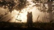 Find Red Dead Redemption 2 Legendary Animals Guide With Maps