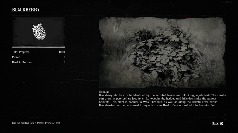 Blackberry Location Rdr Red Dead Redemption 2 Herbalism Challenge 3 guide: Every berry location