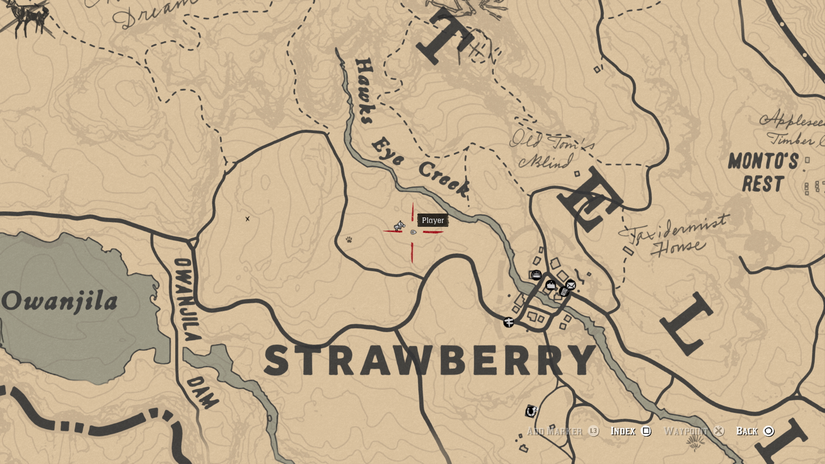 Red Dead Redemption 2 Herbalism Challenge 3 guide: Every berry location