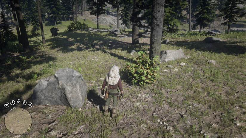 Red Dead Redemption 2 Herbalism Challenge 3 guide: Every berry location