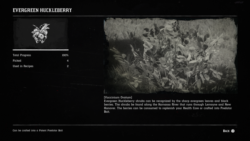 Red Dead Redemption 2 Herbalism Challenge 3 guide: Every berry location