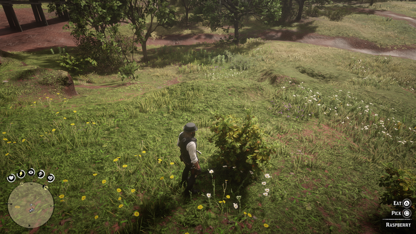 Red Dead Redemption 2 Herbalism Challenge 3 guide: Every berry location
