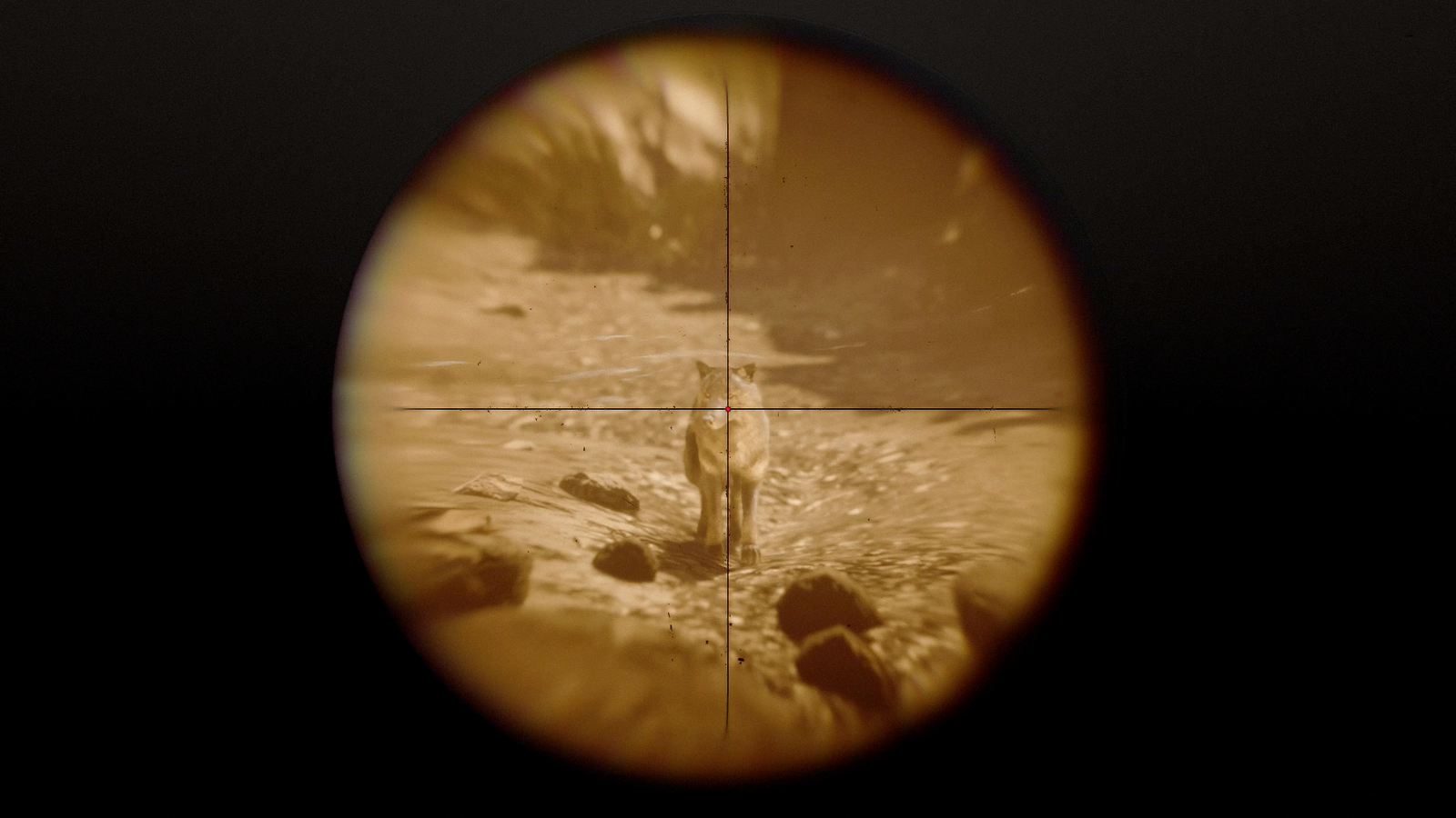 RDR2 Perfect Pelts guide