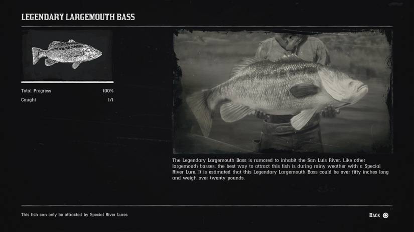 Find RDR2 Legendary Fish guide with maps