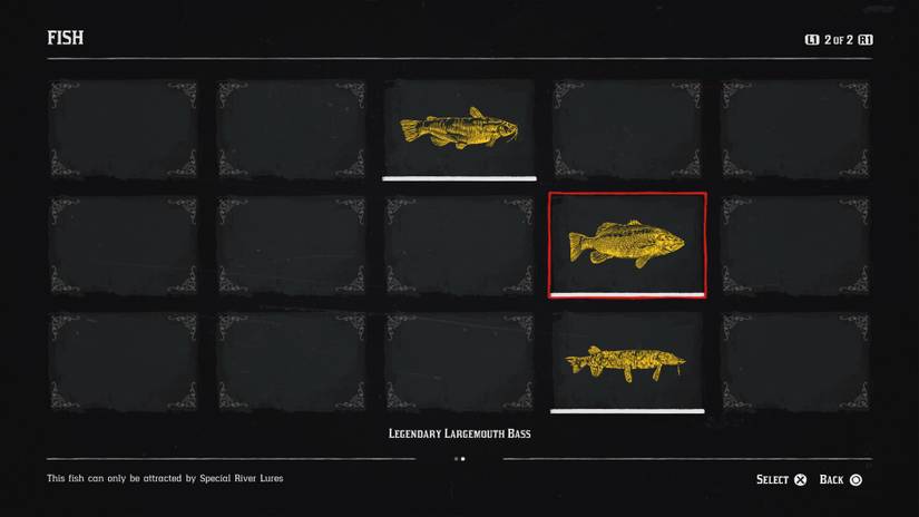 Find RDR2 Legendary Fish guide with maps Find RDR2 Legendary Fish guide with maps
