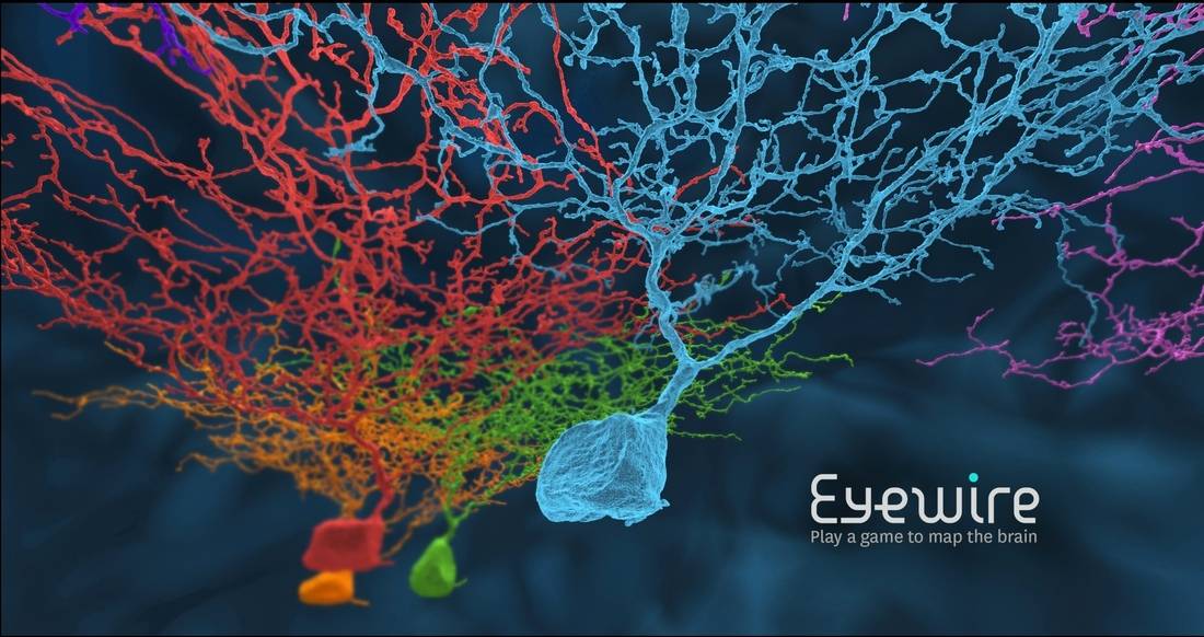 Map the human brain by playing EyeWire
