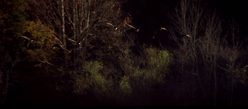 Netflix UK accidentally uploaded a different cut of The Notebook