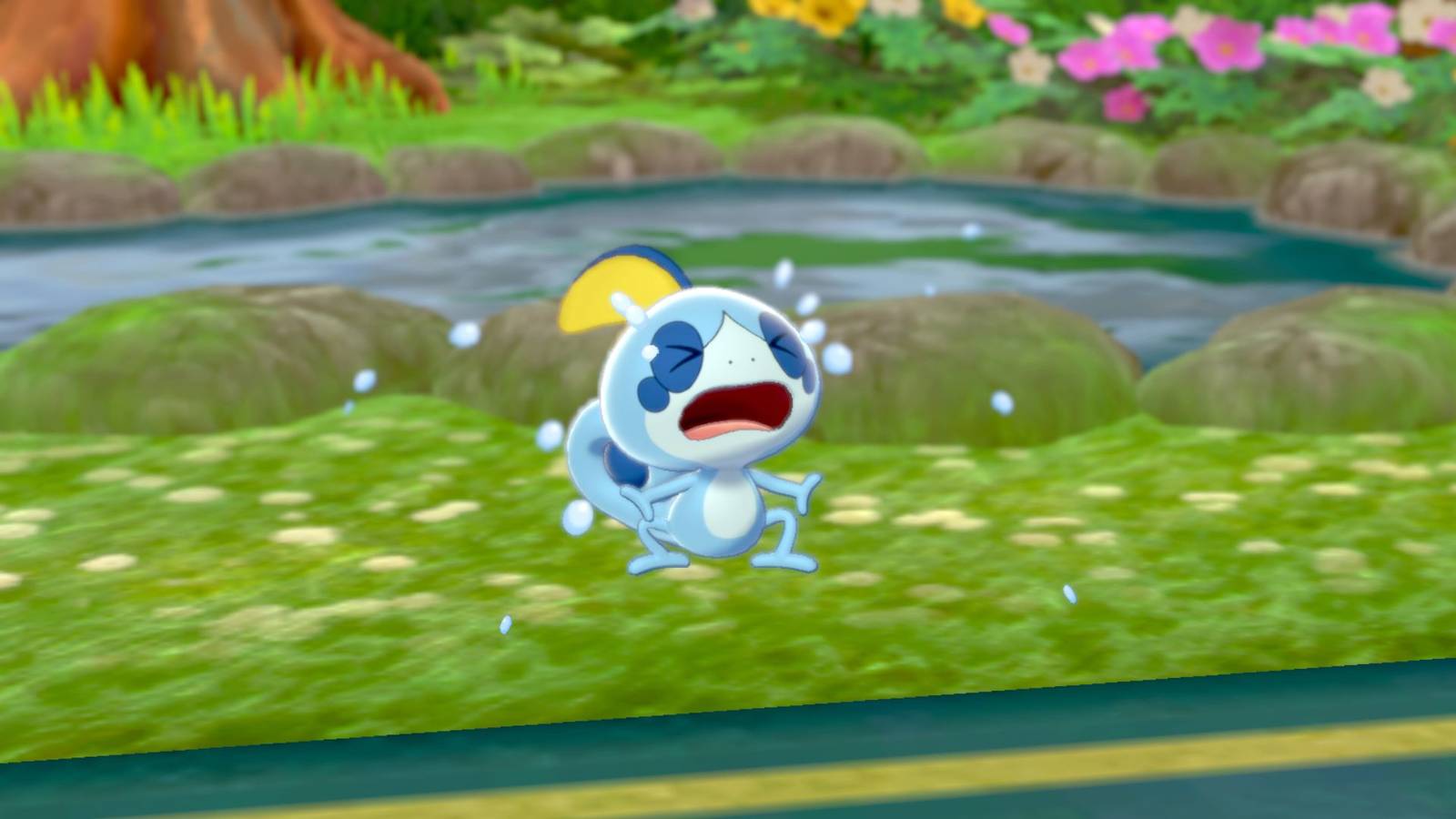 Pokémon fans combat Sword and Shield Pokedex negativity