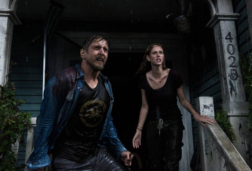 Crawl review: best alligators-attack-in-a-hurricane disaster movie ever