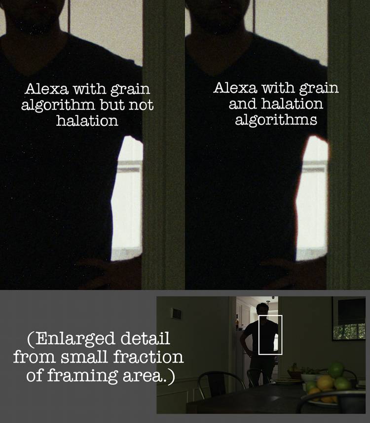 Glass Onion’s cinematographer wants to end the film vs. digital debate