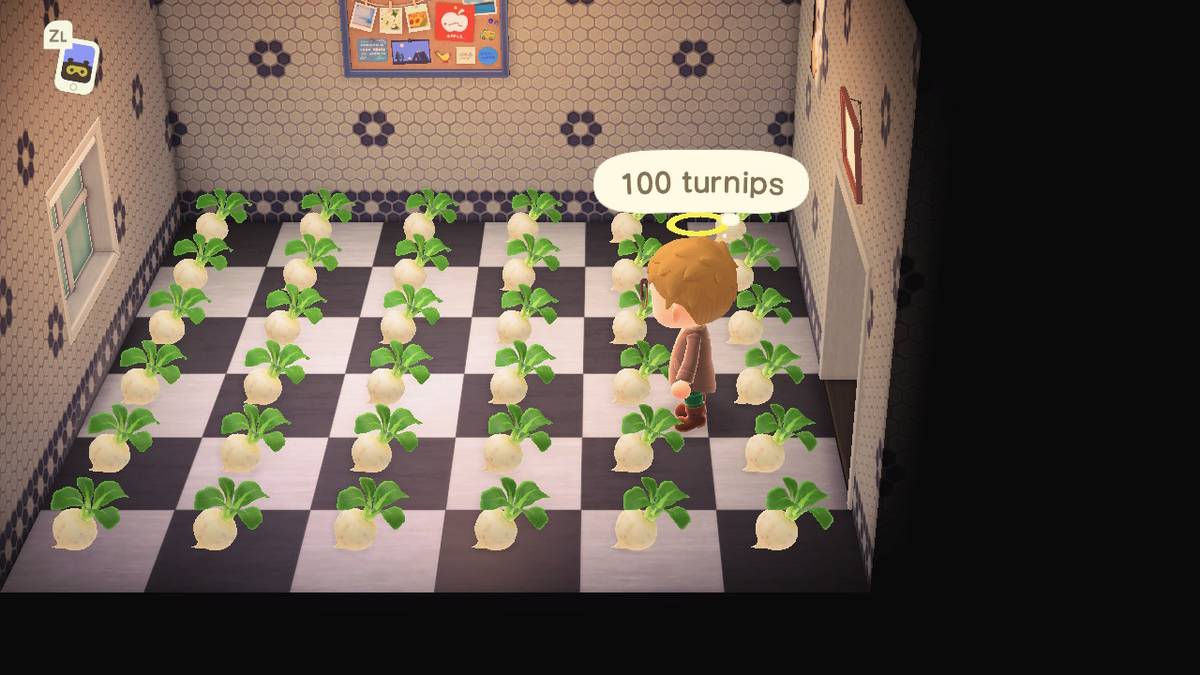Turnips Acnh How To Get Animal Crossing For Cheap Turnip Prices And The  Stalk Market In