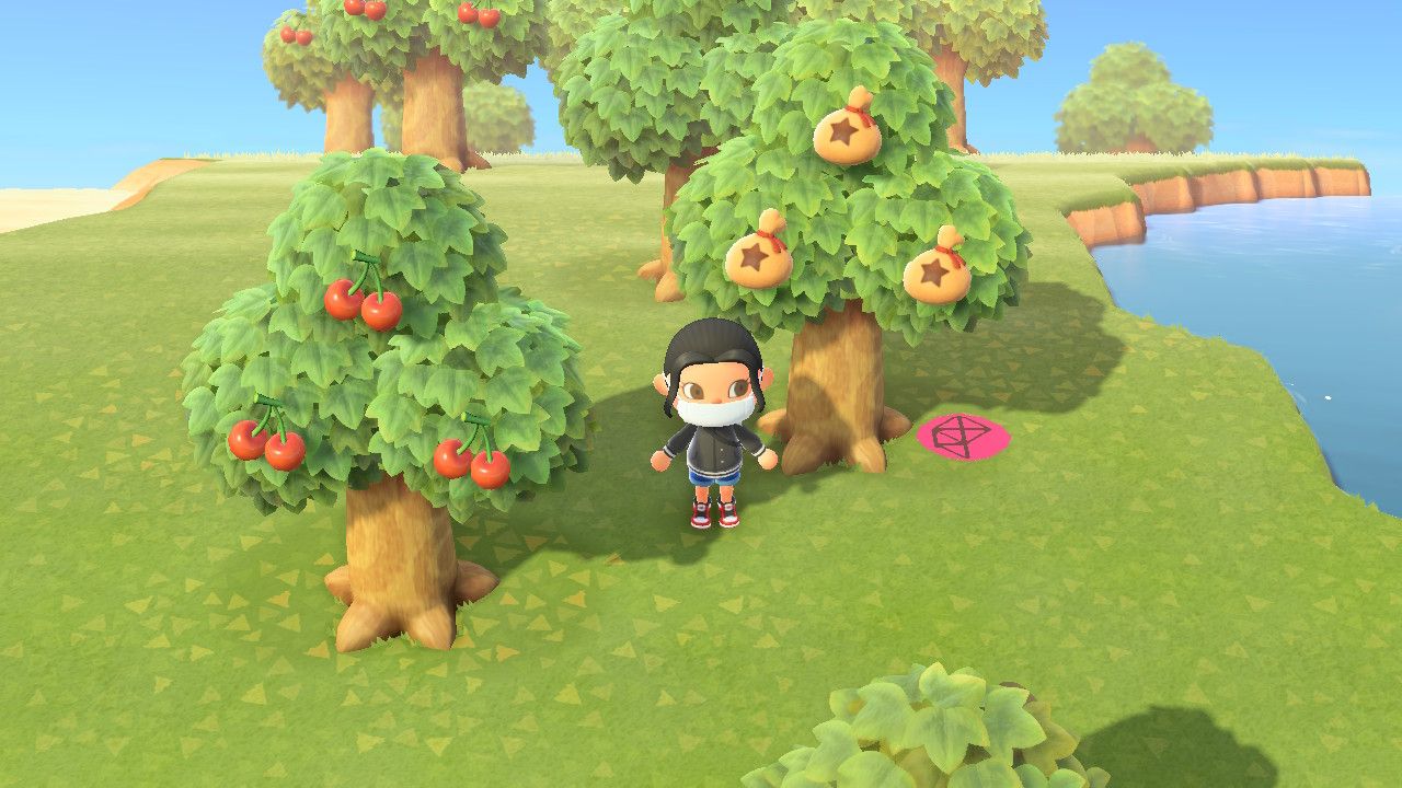 Grow Money Trees in Animal Crossing: New Horizons (Switch)