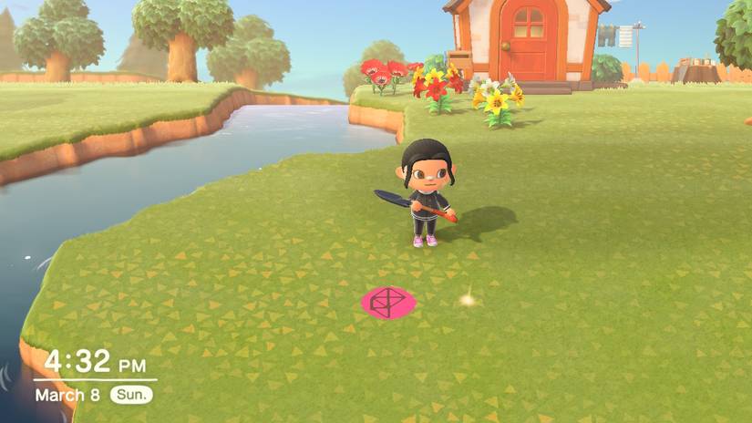 Grow Money Trees in Animal Crossing: New Horizons (Switch)