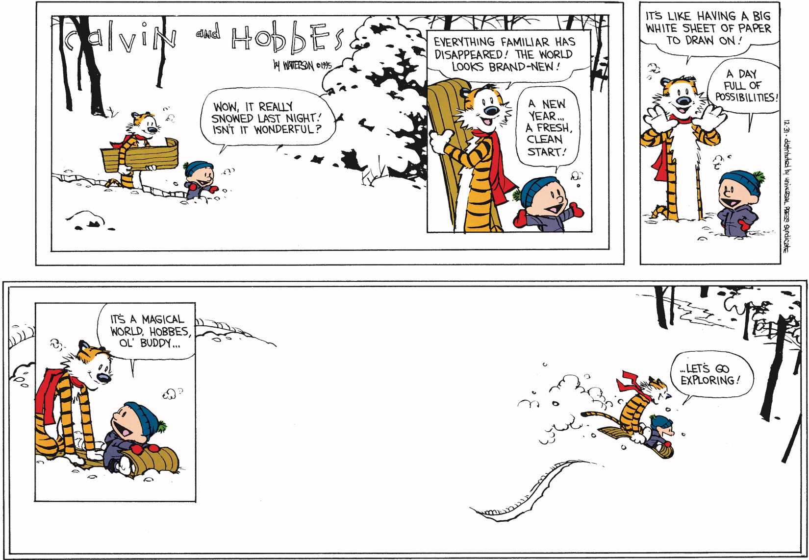 calvin and hobbes final comic strip