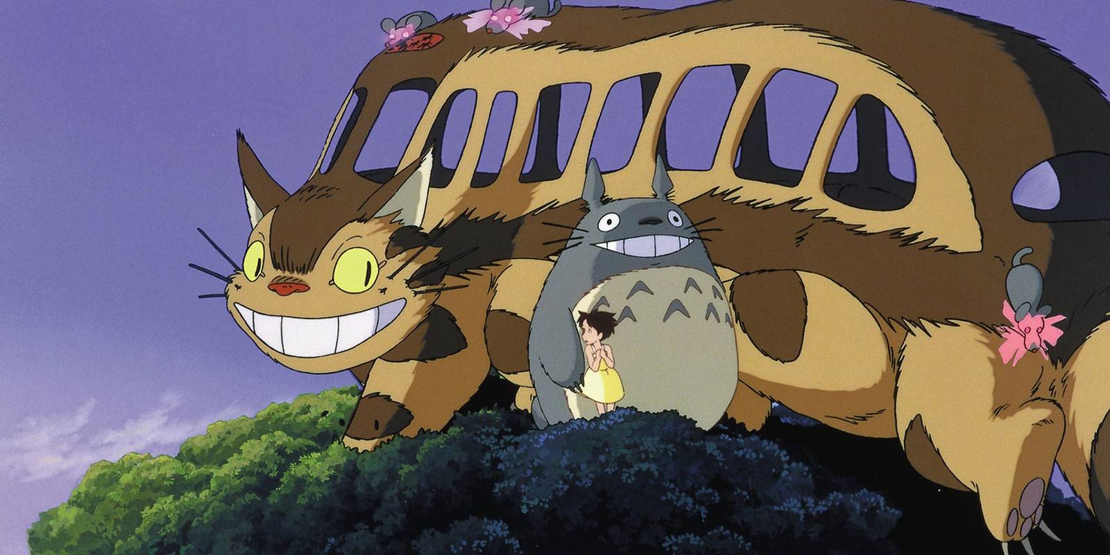 How to Travel With Cat Bus: Ultimate Guide for Stress-Free Journeys