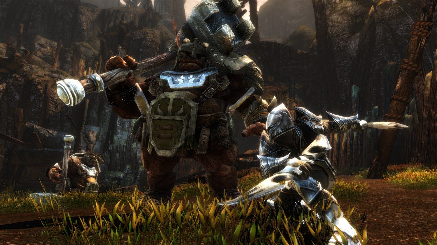 Kingdoms of Amalur: Reckoning | Polygon