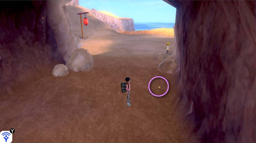 Pokémon Sword and Shield: Isle of Armor Diglett locations and map