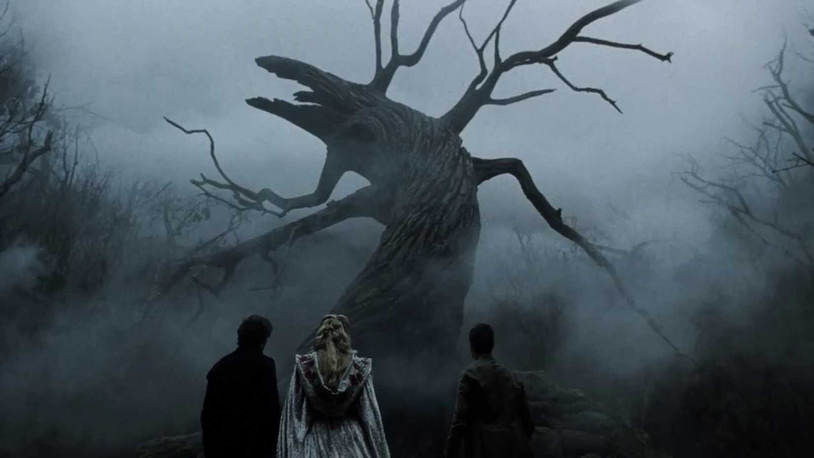 a twisted tree in sleepy hollow