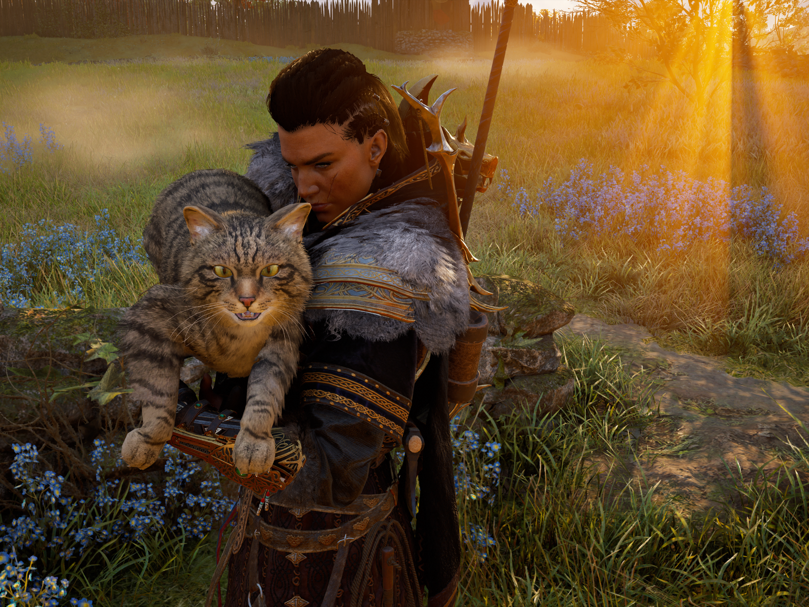 Assassin's Creed Valhalla's cats are hecking huge, image size:1600x1200