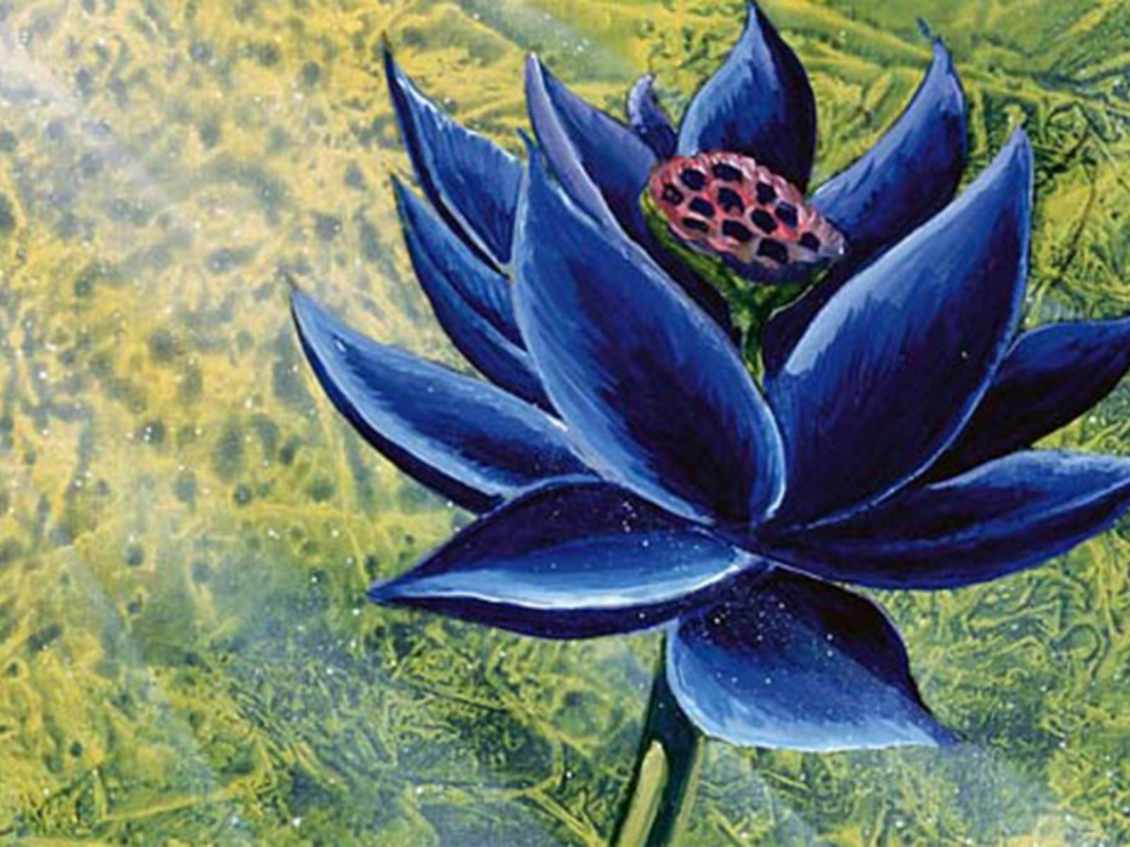 Magic: The Gathering Black Lotus card sells for record $540k at auction