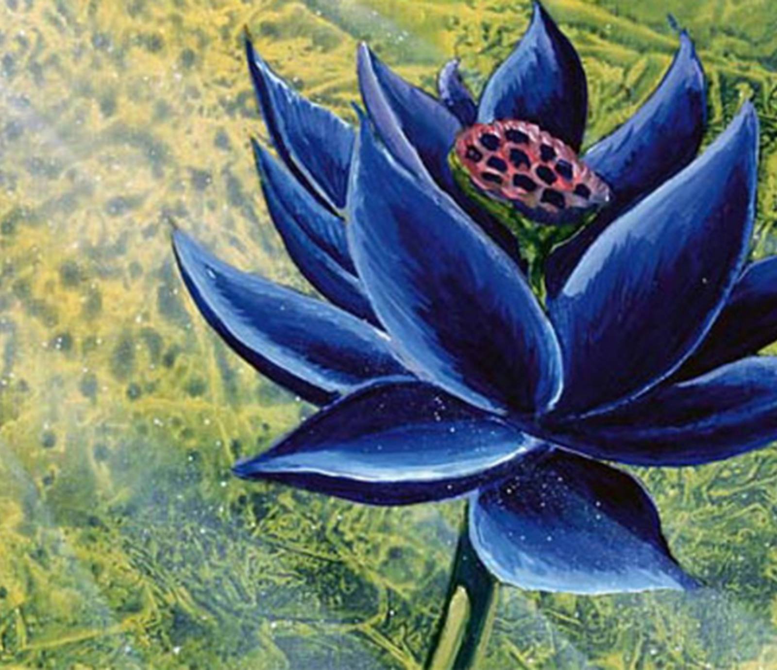 Magic: The Gathering Black Lotus card sells for record $540k at auction Magic: The Gathering Black Lotus card sells for record $540k at auction