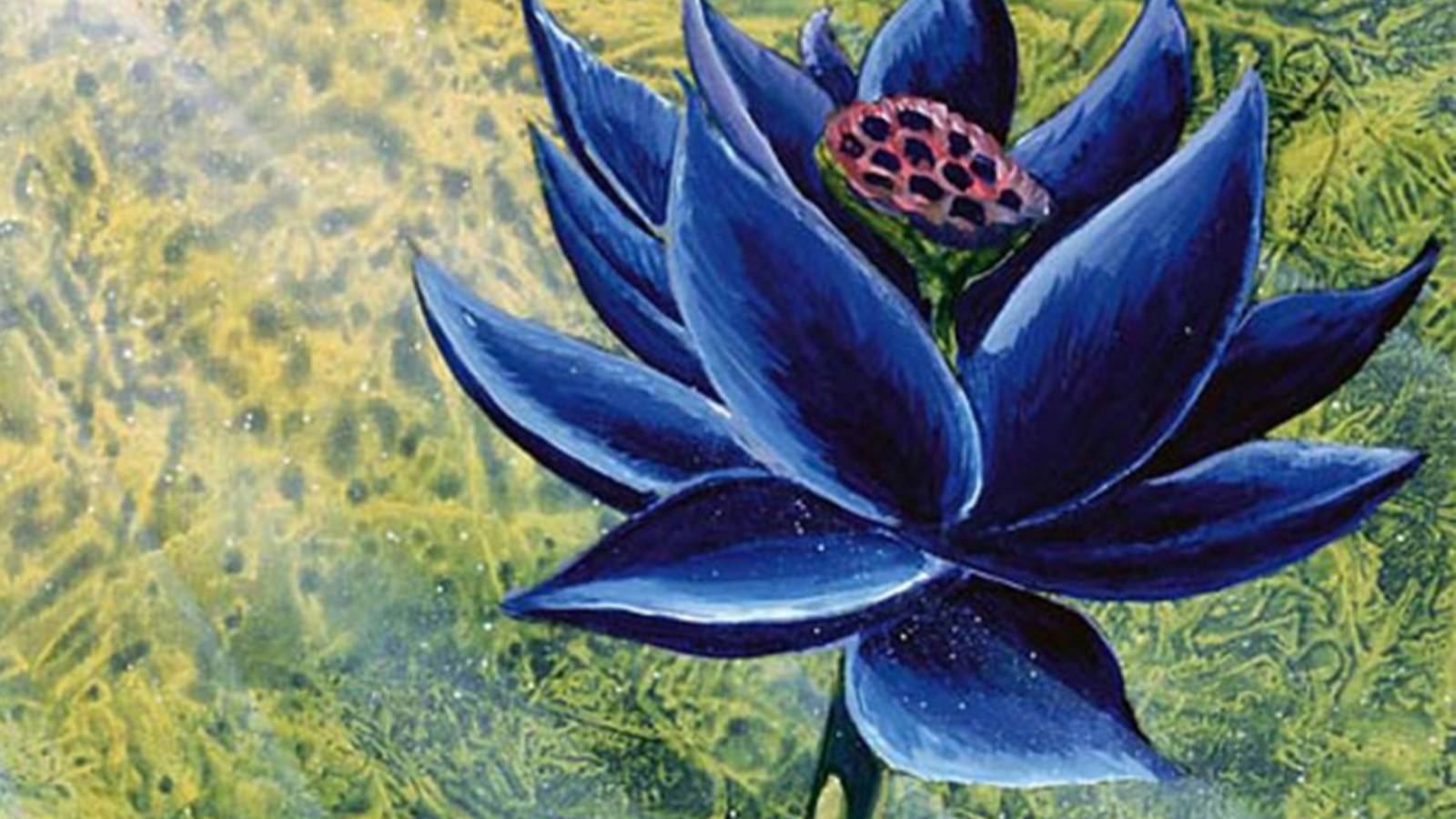 Magic: The Gathering 30th Anniversary includes 60 random cards for $999 Magic: The Gathering 30th Anniversary includes 60 random cards for $999