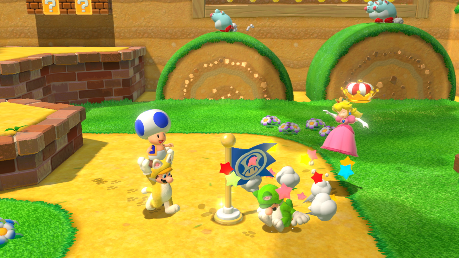 Mario Kart Mario 3d World Online Multiplayer Nintendo Switch Mario Bros Mario Kart Live Meijer Mario 3d World Online  Multiplayer Super Mario 3D